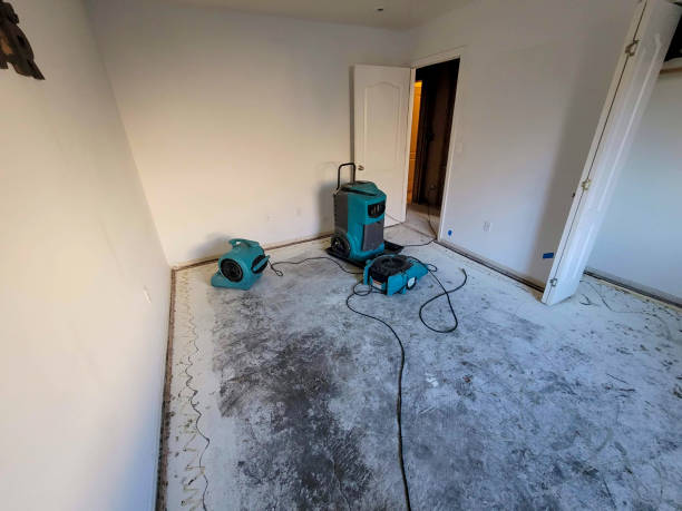 Best 24-hour water damage restoration  in Closter, NJ