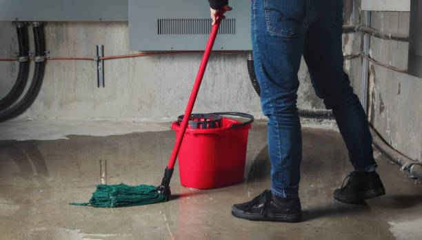 Best Flood damage cleanup  in Closter, NJ