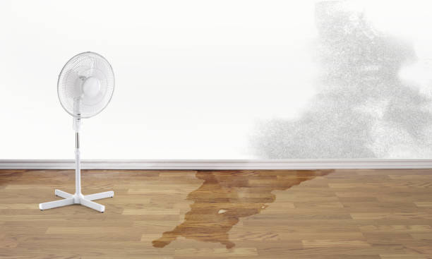 Closter, NJ Water damage restoration Pros